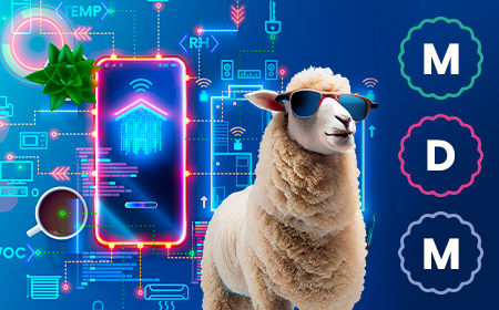 What is Mobile Device Management?
