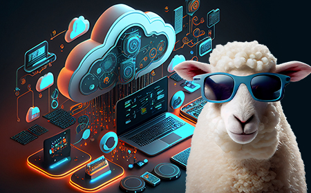 Does my company need an MDM platform?
